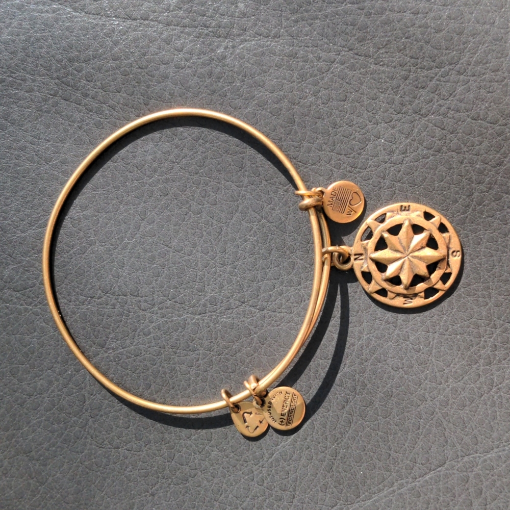 Alex and Ani Compass Charm Bangle